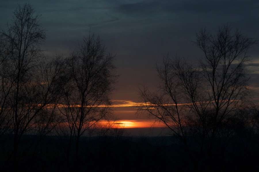 Winter trees with sunset